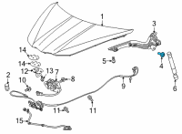 OEM 2020 Chevrolet Corvette Upper Hinge Bolt Diagram - 11602842