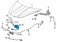 OEM 2022 Chevrolet Corvette Latch Diagram - 84785199