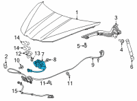 OEM 2020 Chevrolet Corvette Latch Diagram - 84785199