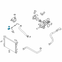 OEM 2012 Kia Sportage Bracket Assembly-Radiator Diagram - 253333W000