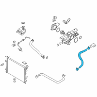 OEM 2014 Kia Sportage Hose-Radiator Lower Diagram - 254122S101