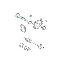 OEM 1998 Ford F-150 Axle Seals Diagram - 2L1Z-3C084-AA