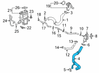 OEM 2021 Toyota RAV4 Lower Hose Diagram - 16571-25120