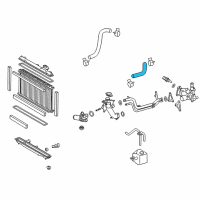 OEM 2008 Lexus GS350 Hose, Radiator, NO.1 Diagram - 16571-31160