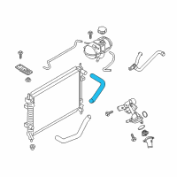 OEM 2016 Ford Mustang Upper Hose Diagram - FR3Z-8260-F