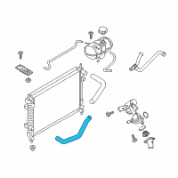 OEM Ford Mustang Lower Hose Diagram - FR3Z-8286-D