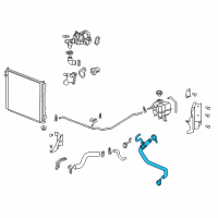 OEM 2006 Cadillac SRX Radiator Outlet Hose Assembly Diagram - 89023433