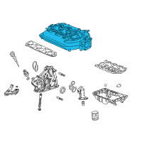 OEM 2009 Honda Pilot Manifold, Intake Diagram - 17160-RGW-A01