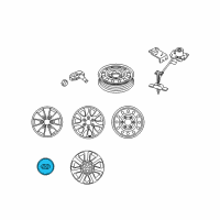 OEM Hyundai Entourage Wheel Hub Cap Assembly Diagram - 52960-4J000