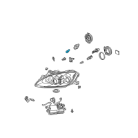 OEM 2004 Honda S2000 Bulb (Wy5W 12V5W) Diagram - 33301-S6M-003