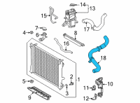 OEM Lexus NX250 Radiator Hose Diagram - 1657125070