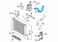 OEM Lexus NX250 Radiator Hose Diagram - 1657225050