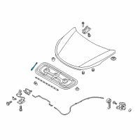 OEM Hyundai Santa Fe Lifter-Hood Diagram - 81161-B8001