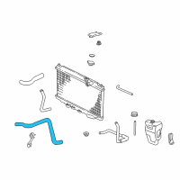 OEM 1994 Acura Integra Hose, Water (Lower) Diagram - 19502-P72-000