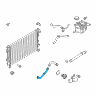 OEM Ford Police Interceptor Utility Lower Hose Diagram - DB5Z-8286-F