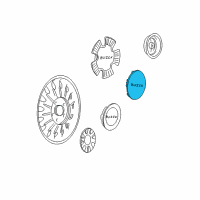 OEM 2003 Buick LeSabre Center Cap Diagram - 9594028
