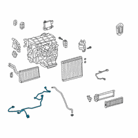 OEM 2020 Toyota RAV4 Harness Diagram - 82212-0R050