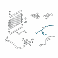 OEM 2018 Ford Focus Overflow Hose Diagram - G1FZ-8B081-A