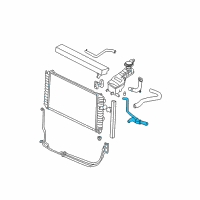 OEM 1997 Oldsmobile Cutlass Outlet Radiator Coolant Hose Assembly Diagram - 22594001