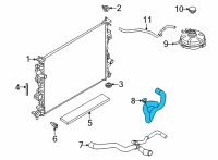 OEM Ford Bronco Sport HOSE - RADIATOR Diagram - LX6Z-8286-X