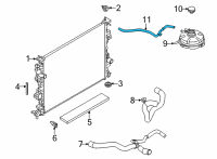 OEM Ford Bronco Sport HOSE - OVERFLOW Diagram - LX6Z-8075-R