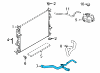 OEM Ford Bronco Sport HOSE - RADIATOR Diagram - LX6Z-8260-P