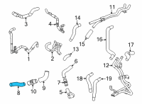 OEM 2021 Lexus LC500 Hose, Radiator, NO.2 Diagram - 16572-31480