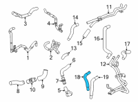 OEM Lexus LC500 Hose, Water By-Pass Diagram - 16264-38120