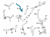 OEM 2022 Lexus LC500 Hose, Radiator To Reserve Diagram - 16567-31060