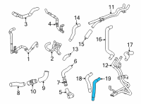 OEM 2022 Lexus LC500 Hose, Water By-Pass Diagram - 16296-38060