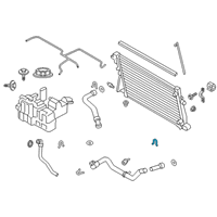 OEM 2022 Ford F-350 Super Duty Overflow Hose Diagram - LC3Z-8075-B