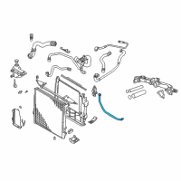 OEM 2001 BMW X5 Hose Diagram - 17-11-1-439-125