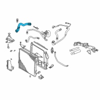 OEM 2006 BMW X5 Lower Radiator Coolant Hose Diagram - 17-12-7-509-963