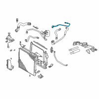 OEM 2005 BMW X5 Radiator Coolant Hose Diagram - 17-12-7-509-967