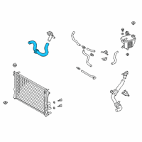 OEM 2022 Lexus UX250h Hose, Radiator, NO.2 Diagram - 16572-24050