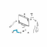 OEM 2010 Acura MDX Hose, Water Lower Diagram - 19502-RYE-A10