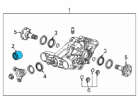 OEM 2022 Cadillac CT4 Mounting Bushing Diagram - 20762354