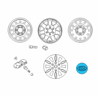 OEM 2014 Kia Sedona Wheel Hub Cap Assembly Diagram - 529604D900