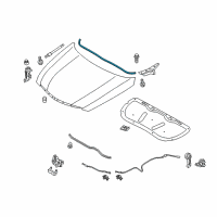 OEM 2012 Hyundai Sonata Weatherstrip-Hood Diagram - 86431-3S000