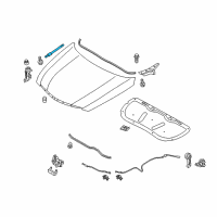 OEM 2014 Hyundai Sonata LIFTER-Hood, RH Diagram - 81171-3Q000
