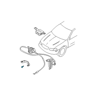 OEM Nissan Screw Diagram - 01436-01191