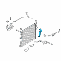 OEM 2021 Ford Explorer Upper Hose Diagram - L1MZ-8260-N