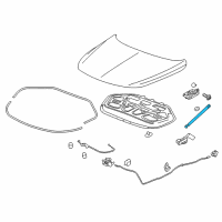 OEM 2018 Buick LaCrosse Support Strut Diagram - 22977333