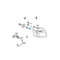 OEM Chevrolet Equinox Bulb, Rear Turn Signal Lamp Diagram - 9427736