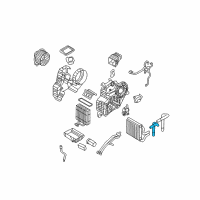 OEM 2008 Hyundai Entourage Hose-Rear Water In Diagram - 97925-4D000