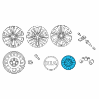 OEM 2018 Kia Sedona Wheel Hub Cap Assembly Diagram - 52960A9500