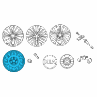 OEM Kia Wheel Assembly-Temporary Diagram - 529102P900
