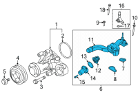 OEM 2022 Ford F-150 CONNECTION - WATER OUTLET Diagram - ML3Z-8A586-B