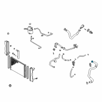 OEM 2002 Toyota Celica Lower Hose Clamp Diagram - 90467-33005