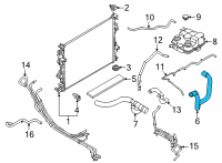 OEM 2022 Ford Maverick HOSE - RADIATOR Diagram - NZ6Z-8286-C